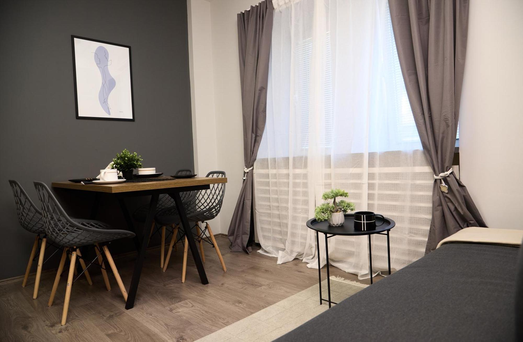 Brent Collection - Apartments In City Center Novi Sad Buitenkant foto
